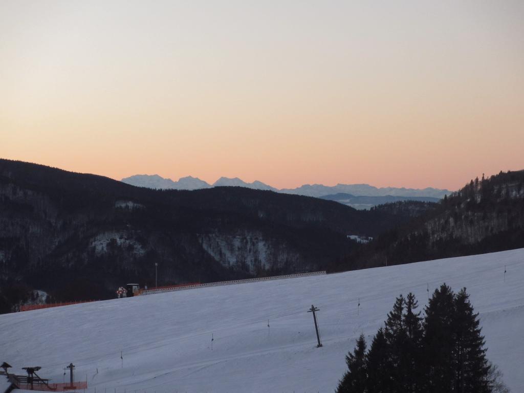 Bergseele Privat- & Retreathotel Schwarzwald Todtnauberg Bagian luar foto