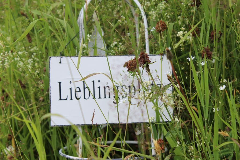Bergseele Privat- & Retreathotel Schwarzwald Todtnauberg Bagian luar foto